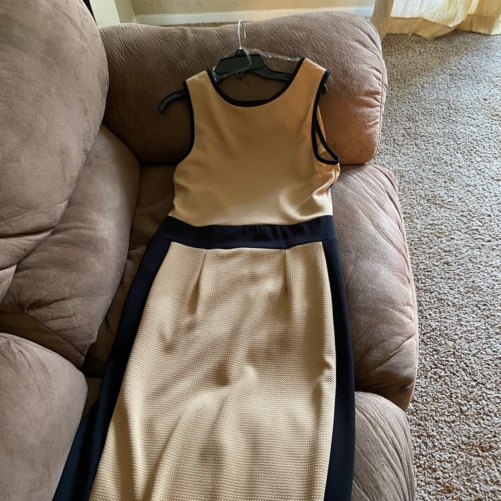 Women (plus size) Tan with Black Trim Dress - Picture 4 of 9